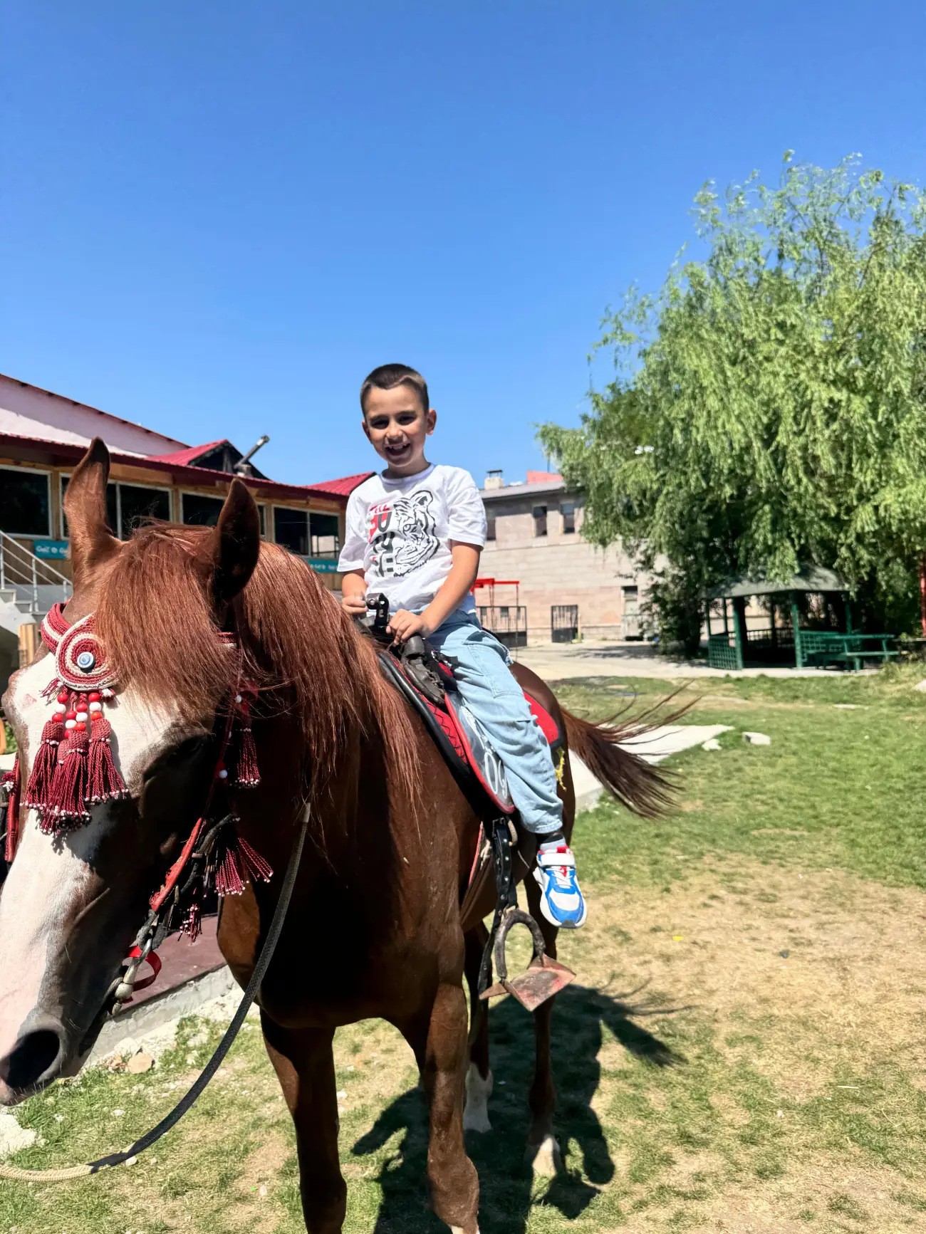 Can Çocuk Yaz Kampında At Binicilik Macerası